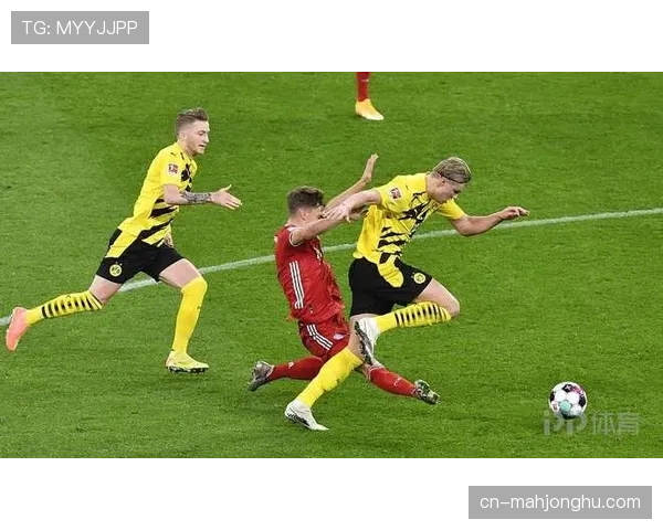 观察:德甲俱乐部在社交媒体平台的国际粉丝增长趋势 观察:德甲俱乐部在社交媒体平台的国际粉丝增长趋势